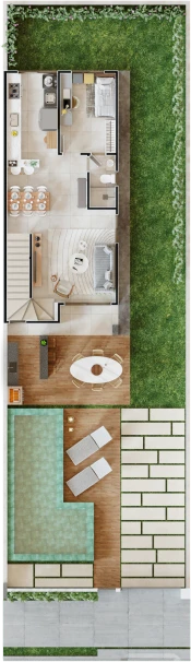 planta nascente 3 Formes